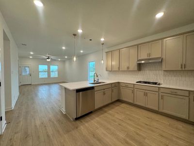 New construction Single-Family house 14814 Lower Pass, San Antonio, TX 78252 plan Brodie - image 9