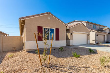 New construction Single-Family house 31550 N Hayweather Ln, San Tan Valley, AZ 85143 plan Fremont - image