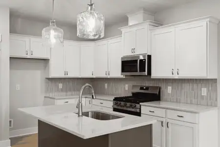 New construction Single-Family house 117 Hayden Ln, Unit 227, Gallatin, TN 37066 plan Cumberland - image