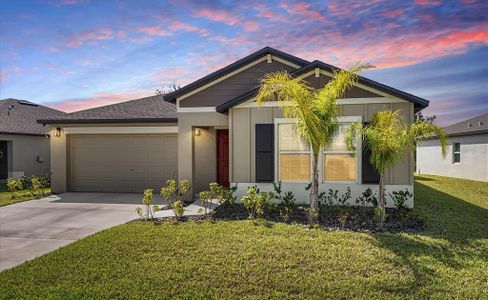 New construction Single-Family house 4025 Capri Coast Dr, Plant City, FL 33565 Dover- photo 0