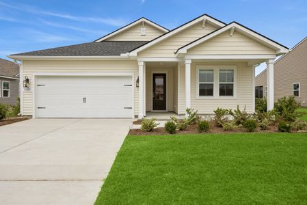 New construction Single-Family house 1603 Blue Moon Dr, Hardeeville, SC 29927 plan Stanwyck - image