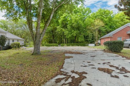 New construction Single-Family house 2341 Oak Point Terrace, Middleburg, FL 32068 - photo 0