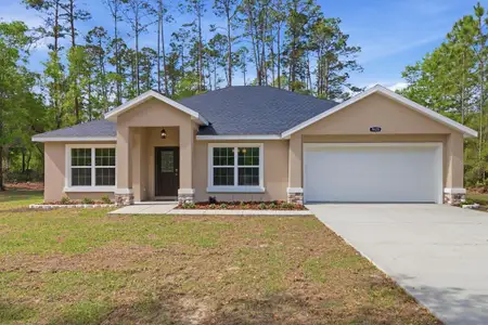 New construction Single-Family house 9620 N Goldenbell Wy, Crystal River, FL 34428 - image
