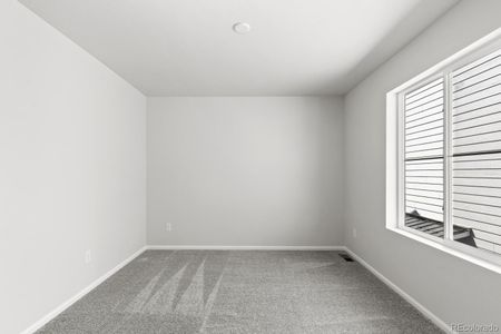 New construction Single-Family house 8785 Whiteclover St, Littleton, CO 80125 plan Plan 4 - image 19