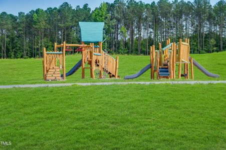 New construction Single-Family house 1565 Goldfinch Perch Ln, Knightdale, NC 27545 Virginia- photo 58 58