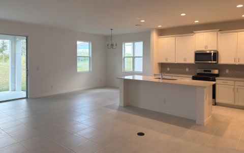 New construction Single-Family house 6825 Serpent Hawk Lane St, Howey-in-the-Hills, FL 34737 plan Hayden - image 19