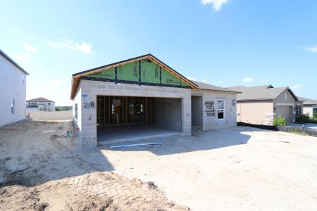 New construction Single-Family house 12227 Hilltop Farms Dr, Dade City, FL 33525 Sentinel- photo 32 32