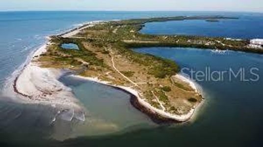 Dunedin Causeway