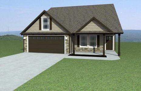 New construction Single-Family house 611 Adventure Isla Wy, Campobello, SC 29322 - image