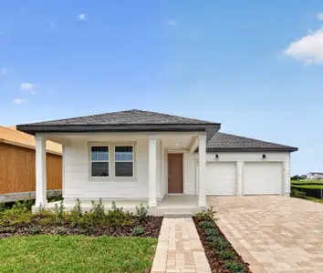New construction Single-Family house 30173 Emerald Forest Dr, Mount Dora, FL 32757 plan Douglas II - image