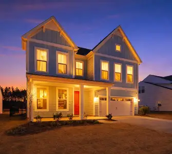 New construction Single-Family house 1008 Field Sparrow Dr, Ravenel, SC 29470 - image