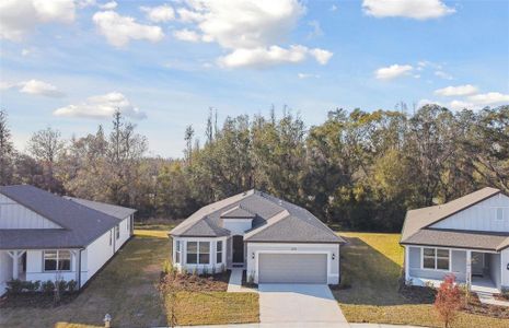 New construction Single-Family house 1279 Kazaz Ct, Zephyrhills, FL 33540 Medina- photo 20 20