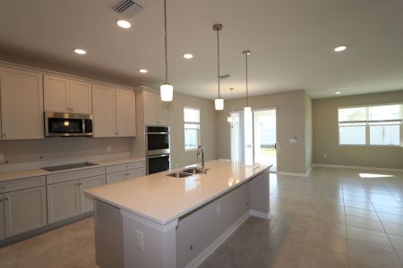 New construction Single-Family house 38338 Tobiano Loop, Dade City, FL 33525 Mira Lago- photo 150 150