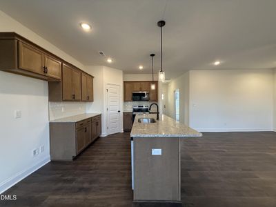 New construction Single-Family house 215 Pretty Run Branch Ln, Wendell, NC 27591 - image 5