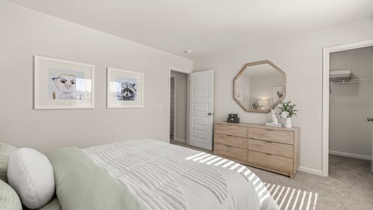 Farmhouse Downs: Cambridge Collection 20