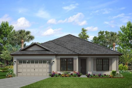 New construction Single-Family house 2718 Wise River Ln, Zephyrhills, FL 33541 plan Patagonia - image