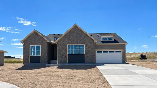 New construction Single-Family house 10350 Saint Mary Pt, Parker, CO 80138 plan The Hamilton - image