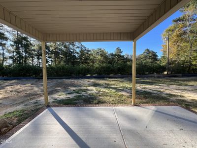 New construction Single-Family house 17 Alex Acres Wy, Selma, NC 27576 - image 3