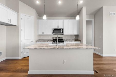 New construction Single-Family house 4515 Westlock St, Castle Rock, CO 80104 - image 17