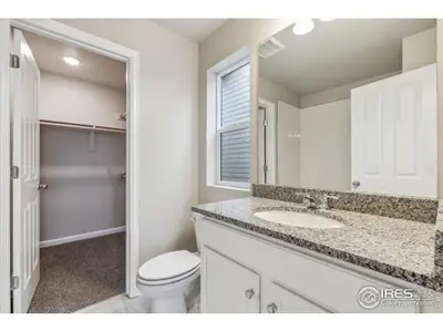 New construction Duplex house 299 Shoveler Wy, Johnstown, CO 80534 plan Congaree - image 8