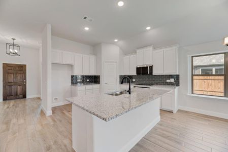 New construction Single-Family house 583 Mb S Wy, Pilot Point, TX 76258 - image 4