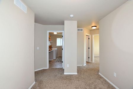 New construction Single-Family house 437 Vivid Ln , Evans, CO 80634 - photo 40 40