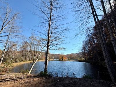 New construction Single-Family house 80 Cove View Ln, Clarkesville, GA 30523 - image 12