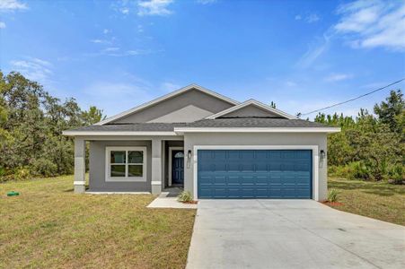 New construction Single-Family house 33 Malauka Lane, Ocklawaha, FL 32179 - photo 0