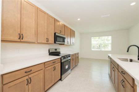 New construction Single-Family house 3108 Evelyn Ln, Bartow, FL 33830 - image 4