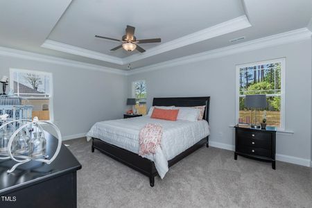 Annandale by Adams Homes in Garner - photo 11 11