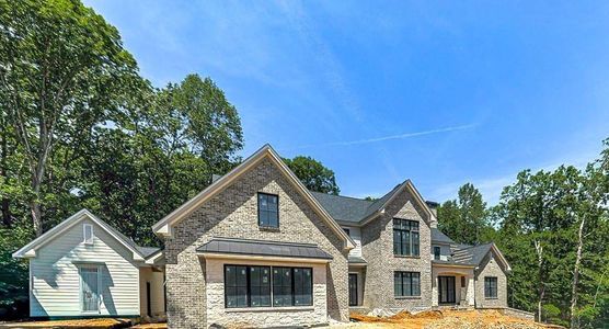 New construction Single-Family house 250 Hawks Lake Dr, Ball Ground, GA 30107 - image