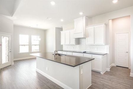 New construction Single-Family house 630 Crystal Lake Ln, Red Oak, TX 75154 CL-2665- photo 15 15