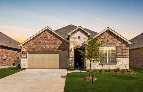 New construction Single-Family house Burleson, TX 76028 plan Orchard - image