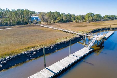 New construction Single-Family house 1717 Vireo Ct, Johns Island, SC 29455 null- photo 3 3