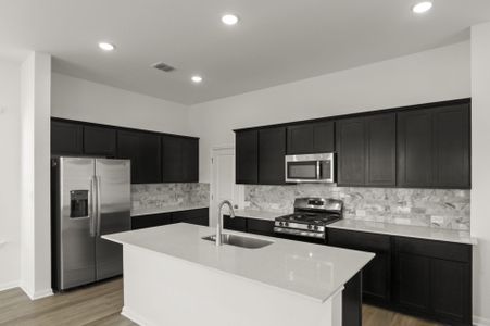 New construction Single-Family house 1628 Esplanade Pkwy, San Marcos, TX 78666 plan Mesquite - image 14