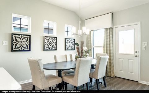 New construction Single-Family house 23522 Malbec Dr, Alvin, TX 77511 plan Fitzgerald - image