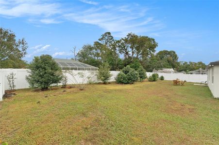 New construction Single-Family house 11209 Roman Street, Spring Hill, FL 34609 - photo 30 30