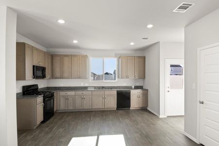 New construction Single-Family house 158 Daylily Dr, Elgin, TX 78621 - image 10