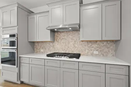 New construction Single-Family house 19024 Ariel Elena Wy, Pflugerville, TX 78660 plan Concord 2575 S 3cg - image 5