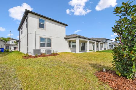 New construction Single-Family house 4774 Beachrose Way, Lakeland, FL 33811 Barcello Bonus- photo 178 178