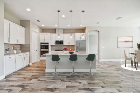 New construction Single-Family house 3528 Cross Creek Pkwy, Parrish, FL 34219 plan Strabane - image 4