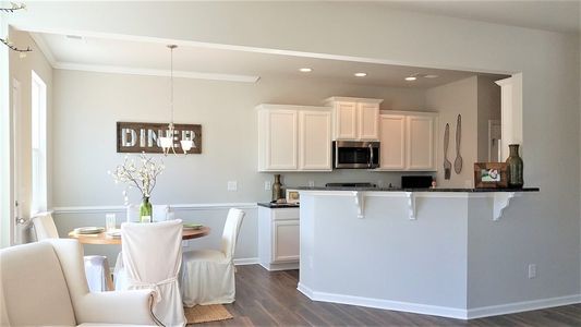 Enclave at Dawson Forest by Piedmont Residential in Dawsonville - photo 14 14