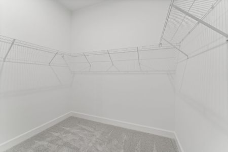 New construction Single-Family house 14184 Daphne St, Port Saint Lucie, FL 34987 Rosewood- photo 12 12