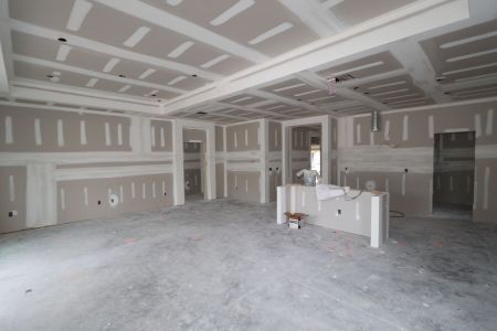 New construction Single-Family house 20050 Oriana Loop, Land O' Lakes, FL 34638 Santa Monica- photo 78 78