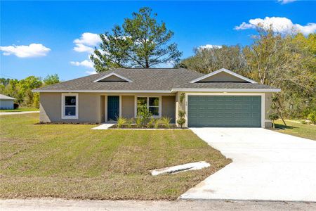 New construction Single-Family house 22 Malauka Run Ln, Ocklawaha, FL 32179 - image