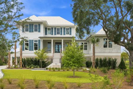 New construction Single-Family house 925 Fish Camp Rd, Charleston, SC 29492 - image