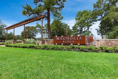 Magnolia Ridge: Cottage Collection by Lennar in Magnolia - photo 1 1