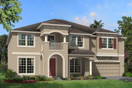 New construction Single-Family house 10805 Rolling Moss Road, Tampa, FL 33647 - photo 0