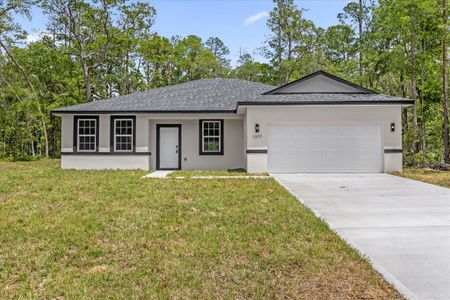 New construction Single-Family house 1377 W Alexander Dr, Citrus Springs, FL 34434 - image