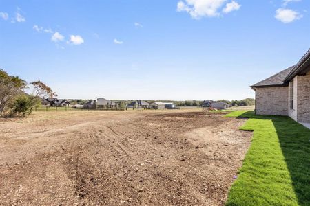 New construction Single-Family house 441 Solo Ridge Drive, Waxahachie, TX 75167 - photo 37 37